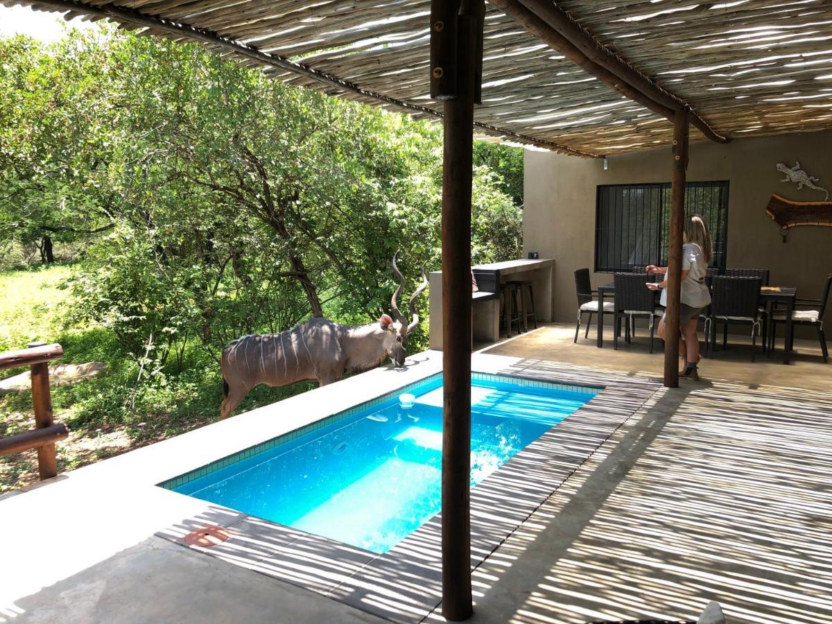 Kruger Willows Marloth Park Ngoại thất bức ảnh